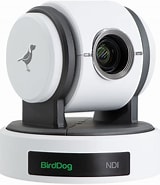 BirdDog Eyes P100 1080P White