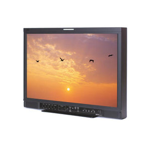 JVC DT-E Series  21" Cost-effective HD Monitor